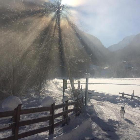 Alpen Apart Michael Mayrhofen Luaran gambar